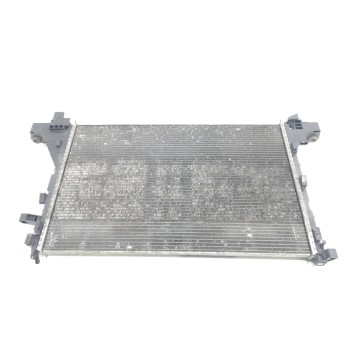 RADIADOR AGUA 214107695R 