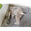 Recambio de caja cambios para peugeot 106 (s1) cocktail referencia OEM IAM 20CB56  