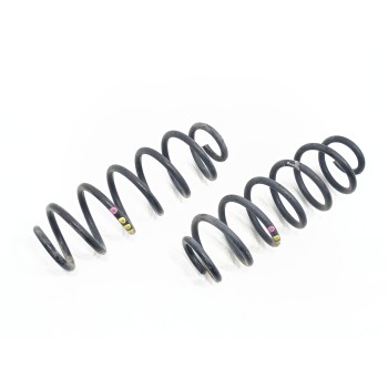Recambio de muelle amortiguacion trasero para seat leon (1p1) reference referencia OEM IAM   