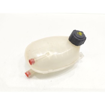 DEPOSITO EXPANSION 217102572R 