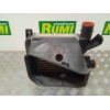 Recambio de intercooler para bmw serie 5 berlina (e39) 2.5 turbodiesel cat referencia OEM IAM 2246031  