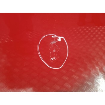 Recambio de puerta trasera derecha para ford c-max titanium referencia OEM IAM   