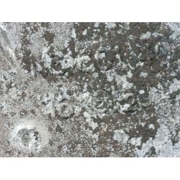 Recambio de llanta para nissan qashqai (j10) acenta referencia OEM IAM N3160140  