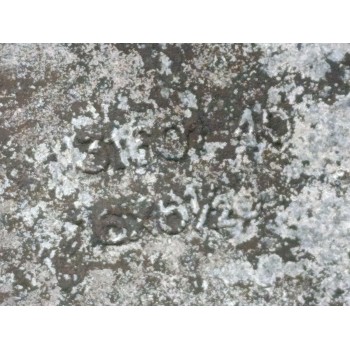 Recambio de llanta para nissan qashqai (j10) acenta referencia OEM IAM N3160140  