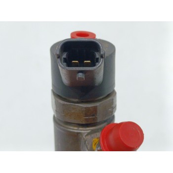 Recambio de inyector para hyundai santa fe (bm) 2.2 crdi comfort 4x4 referencia OEM IAM 0445110258  