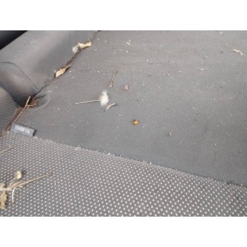 Recambio de asientos traseros para seat leon (1p1) stylance / style referencia OEM IAM   