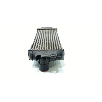 Recambio de intercooler para renault trafic ii autobús (jl) 1.9 dci 100 (jl0c) referencia OEM IAM 7700312903G  91166035 / 868926
