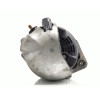 Recambio de alternador para renault espace iv (jk0) privilege referencia OEM IAM   