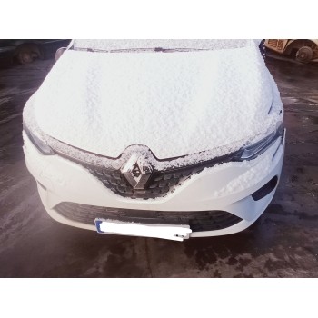 renault clio v del año 2019