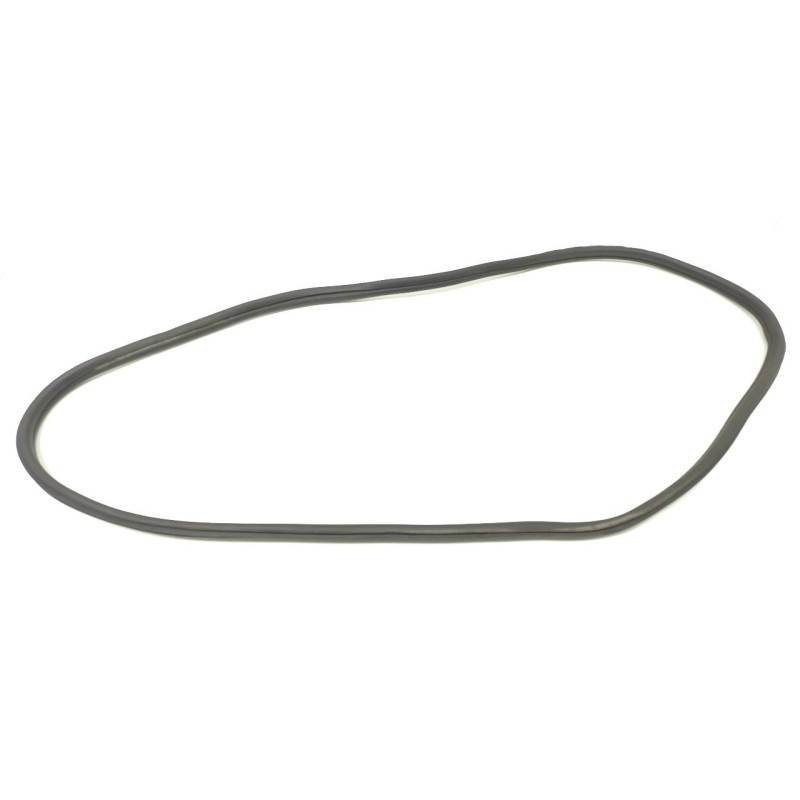 Recambio de gomas contorno puerta para bmw serie x3 (g01) xdrive20d xline referencia OEM IAM 7393449  