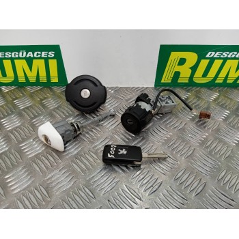 Recambio de juego bombines para peugeot 5008 active referencia OEM IAM   