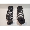 Recambio de muelle amortiguacion trasero para renault scenic iii dynamique referencia OEM IAM   