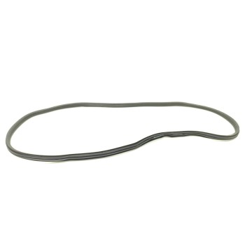 Recambio de gomas contorno puerta para bmw serie x3 (g01) xdrive20d xline referencia OEM IAM 7393423  