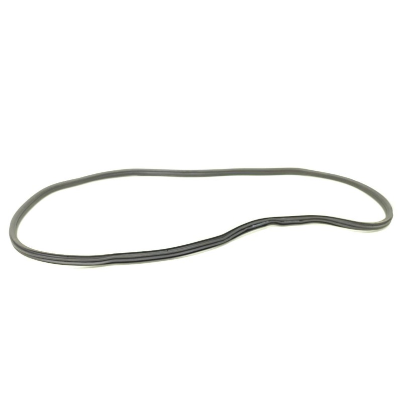 Recambio de gomas contorno puerta para bmw serie x3 (g01) xdrive20d xline referencia OEM IAM 7393423  