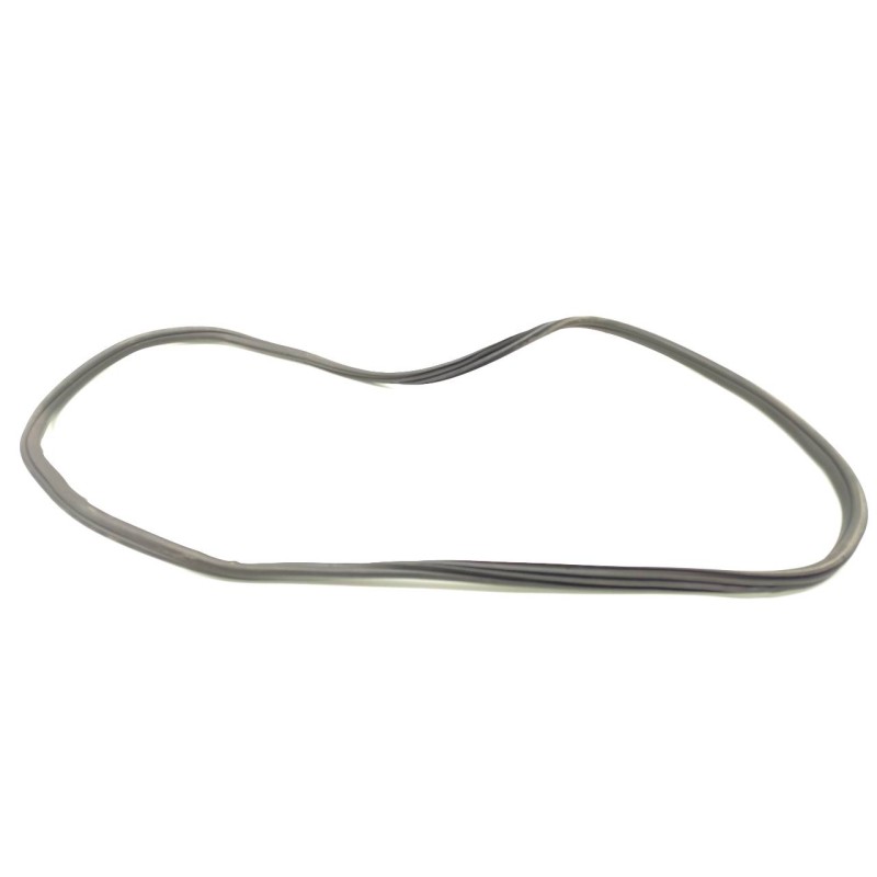 Recambio de gomas contorno puerta para bmw serie x3 (g01) xdrive20d xline referencia OEM IAM 7393423  