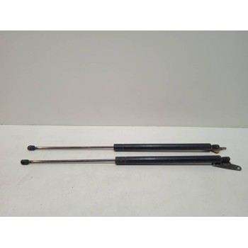 AMORTIGUADORES MALETERO / PORTON 