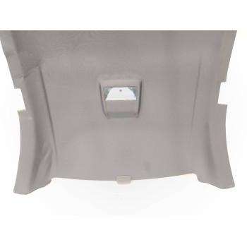 Recambio de techo interior para bmw serie 1 coupe (e82) 120d referencia OEM IAM 804667104  