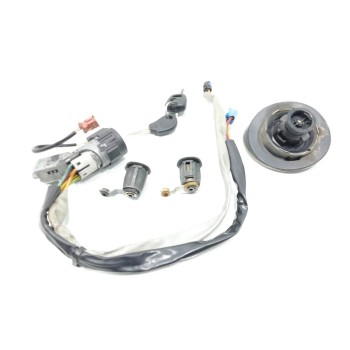 Recambio de juego bombines para citroën berlingo 2.0 600 hdi furg. referencia OEM IAM   