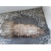 Recambio de caja cambios para bmw serie 3 berlina (e36) 325td referencia OEM IAM 96016876 4054601 