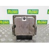 Recambio de centralita motor uce para renault laguna ii (bg0) authentique referencia OEM IAM 8200048297 0281010297 