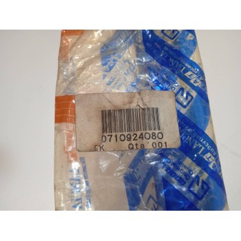 Recambio de moldura para fiat punto berlina (176) gt t 130 referencia OEM IAM 710924080  