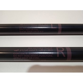 Recambio de amortiguadores maletero / porton para nissan x-trail (t31) referencia OEM IAM 90451JG40B  