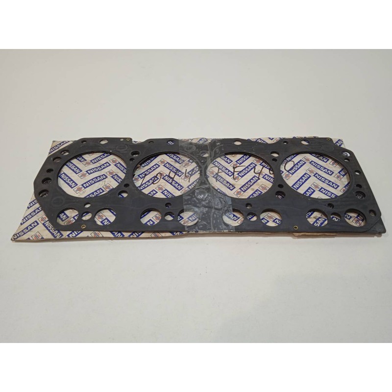 Recambio de no identificado para nissan terrano/terrano.ii (r20) 2.7 turbodiesel referencia OEM IAM 110447F400  