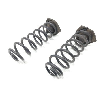 Recambio de muelle amortiguacion trasero para renault scenic iii expression referencia OEM IAM   