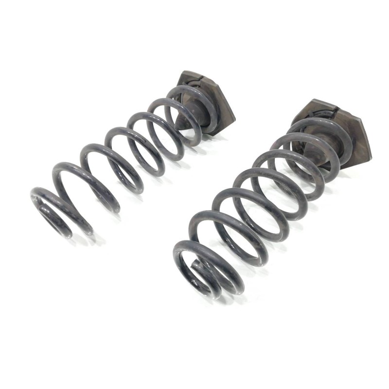 Recambio de muelle amortiguacion trasero para renault scenic iii expression referencia OEM IAM   