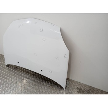 Recambio de capo para renault clio ii fase i (b/cbo) 1.9 d alize referencia OEM IAM   