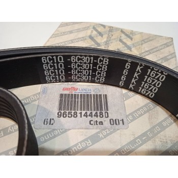 Recambio de no identificado para fiat ducato caja cerrada 33 (06.2006 =>) 2.2 jtd cat referencia OEM IAM 6C1Q6C302CB  