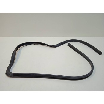 Recambio de gomas contorno puerta para nissan cabstar e referencia OEM IAM 768429X003  