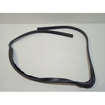 Recambio de gomas contorno puerta para nissan cabstar e referencia OEM IAM 768429X003  