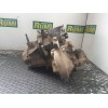 Recambio de caja cambios para citroën bx berlina 19 tri kat tecnic referencia OEM IAM  20CL24 