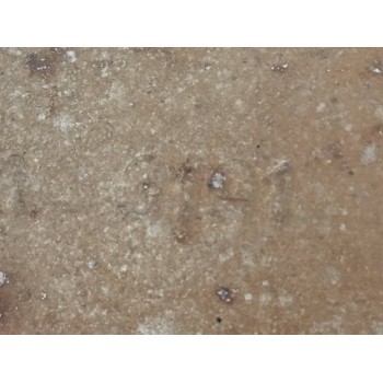 Recambio de tubo escape trasero para peugeot partner kombi extreme 4x4 referencia OEM IAM 3191  