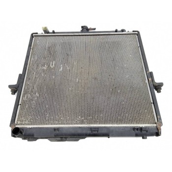 Recambio de radiador agua para nissan pathfinder (r51) 2.5 dci diesel cat referencia OEM IAM   