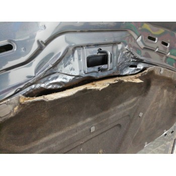 Recambio de capo para volkswagen passat berlina (3b3) referencia OEM IAM   