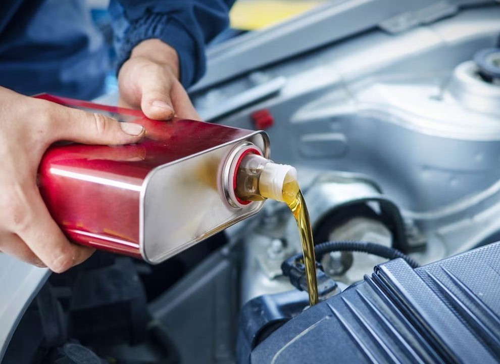 Nullam ullamcorper nisl quis ornare molestie